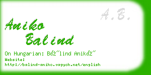 aniko balind business card